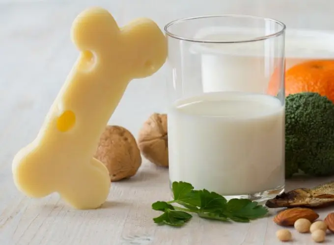 Bone health and osteoporosis prevention - Perfect Balance Rehabilitation Centre Bone health and osteoporosis prevention