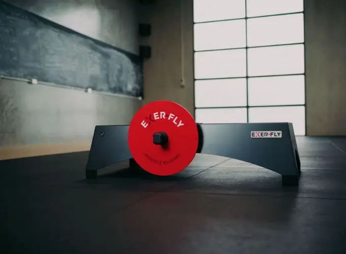 srvc-flywheel - Perfect Balance Rehabilitation Centre flywheel